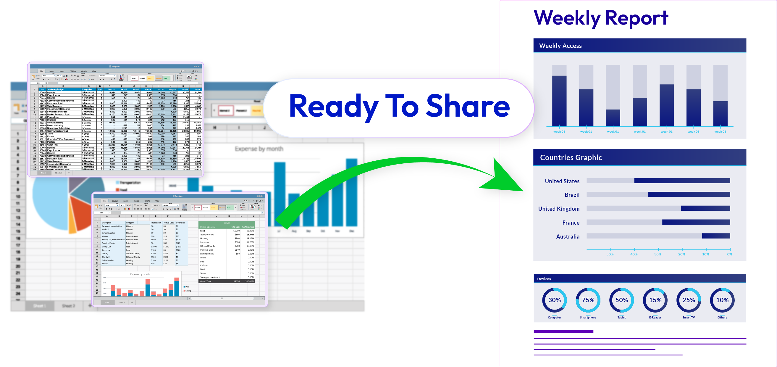 Simple, Ready-to-Share Reports